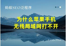 为什么苹果手机无线局域网打不开