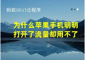 为什么苹果手机明明打开了流量却用不了