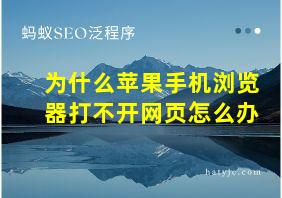 为什么苹果手机浏览器打不开网页怎么办