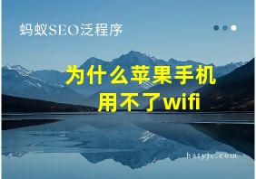 为什么苹果手机用不了wifi