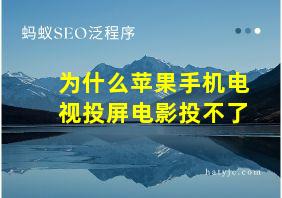 为什么苹果手机电视投屏电影投不了