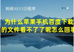 为什么苹果手机百度下载的文件看不了了呢怎么回事