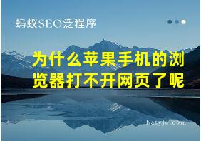 为什么苹果手机的浏览器打不开网页了呢