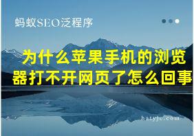 为什么苹果手机的浏览器打不开网页了怎么回事