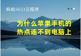 为什么苹果手机的热点连不到电脑上