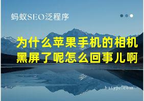 为什么苹果手机的相机黑屏了呢怎么回事儿啊