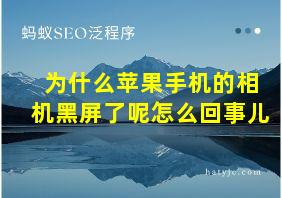 为什么苹果手机的相机黑屏了呢怎么回事儿