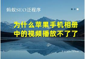 为什么苹果手机相册中的视频播放不了了