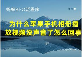 为什么苹果手机相册播放视频没声音了怎么回事