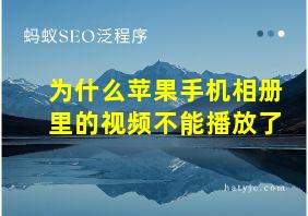 为什么苹果手机相册里的视频不能播放了