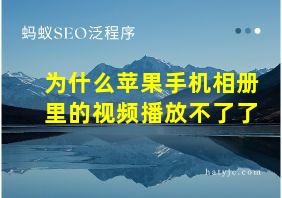 为什么苹果手机相册里的视频播放不了了