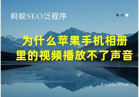 为什么苹果手机相册里的视频播放不了声音