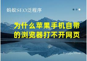 为什么苹果手机自带的浏览器打不开网页