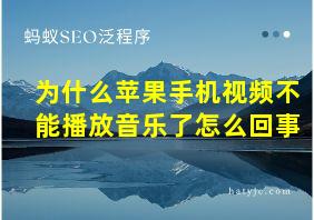 为什么苹果手机视频不能播放音乐了怎么回事