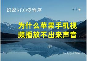 为什么苹果手机视频播放不出来声音