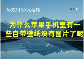 为什么苹果手机里有一些自带壁纸没有图片了呢