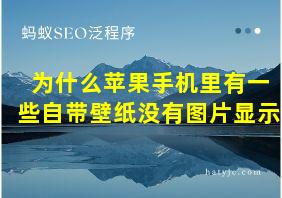 为什么苹果手机里有一些自带壁纸没有图片显示