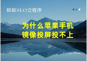 为什么苹果手机镜像投屏投不上