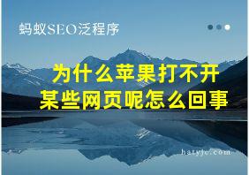 为什么苹果打不开某些网页呢怎么回事