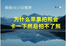 为什么苹果拍照会卡一下然后拍不了照