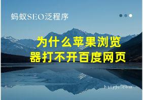 为什么苹果浏览器打不开百度网页