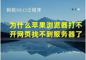 为什么苹果浏览器打不开网页找不到服务器了