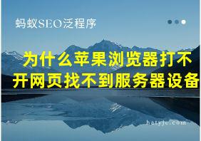 为什么苹果浏览器打不开网页找不到服务器设备