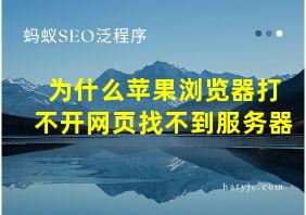 为什么苹果浏览器打不开网页找不到服务器