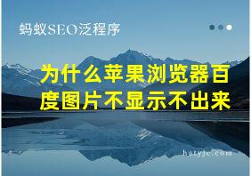 为什么苹果浏览器百度图片不显示不出来