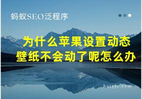 为什么苹果设置动态壁纸不会动了呢怎么办