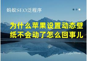 为什么苹果设置动态壁纸不会动了怎么回事儿