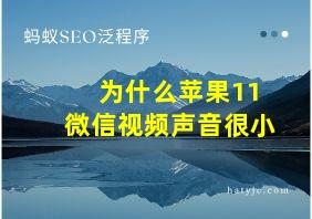 为什么苹果11微信视频声音很小