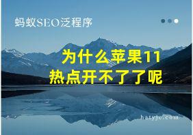 为什么苹果11热点开不了了呢