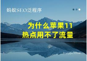 为什么苹果11热点用不了流量