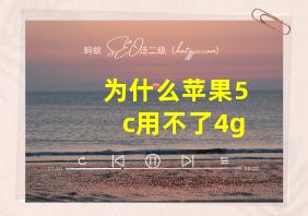 为什么苹果5c用不了4g