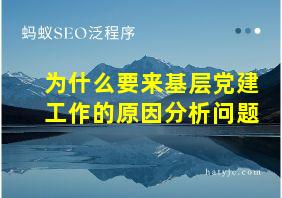 为什么要来基层党建工作的原因分析问题