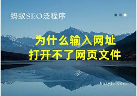 为什么输入网址打开不了网页文件