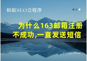 为什么163邮箱注册不成功,一直发送短信