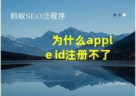 为什么apple id注册不了