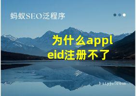 为什么appleid注册不了