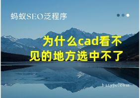 为什么cad看不见的地方选中不了