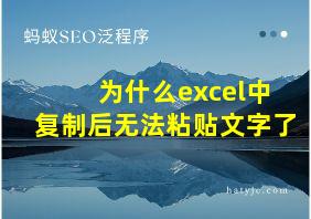 为什么excel中复制后无法粘贴文字了