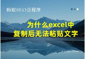 为什么excel中复制后无法粘贴文字