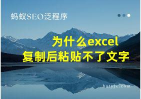 为什么excel复制后粘贴不了文字