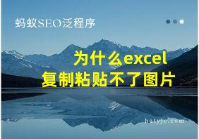 为什么excel复制粘贴不了图片