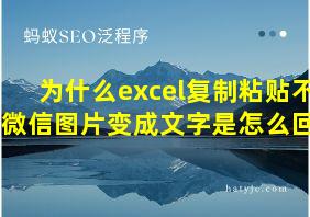 为什么excel复制粘贴不了微信图片变成文字是怎么回事