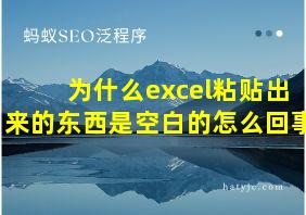 为什么excel粘贴出来的东西是空白的怎么回事