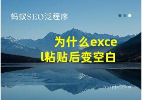 为什么excel粘贴后变空白