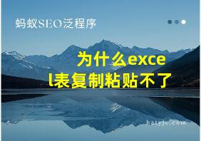 为什么excel表复制粘贴不了