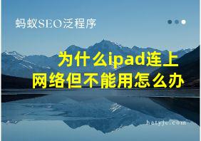 为什么ipad连上网络但不能用怎么办